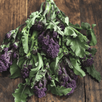 BROCCOLI Purple Sprouting Loose /500g